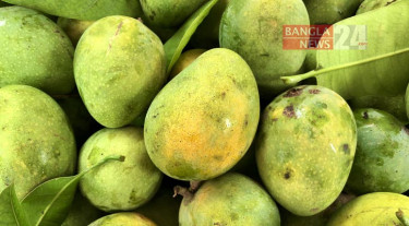 কার্বাইডযুক্ত আম বিক্রিতে কঠোর নিষেধাজ্ঞা ফল ব্যবসায়ী সমিতির