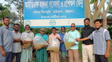 হালদায় ‘সাদা সোনা’ বিক্রির উৎসব, কোটি টাকার বাণিজ্য