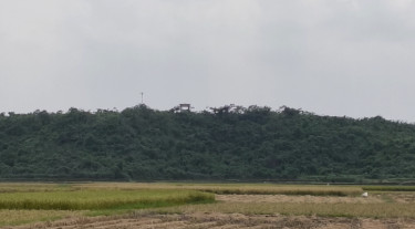 কসবা সীমান্তে দুই বাংলাদেশিকে গুলি করে মারল বিএসএফ