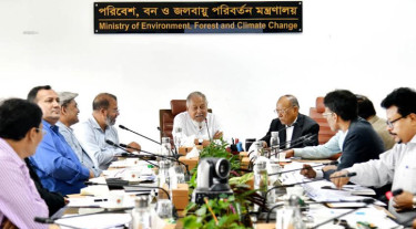 চলতি বছর প্রথম ধাপে ৫ কোটি বৃক্ষরোপণের লক্ষ্যমাত্রা নির্ধারণ: পরিবেশমন্ত্রী