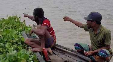 হাওরে ধান কাটতে গিয়ে নৌকা ডুবে নিখোঁজ ১