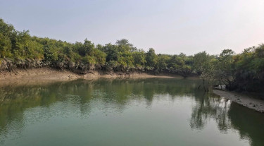 সুন্দরবন থেকে ফের ৮ জেলেকে অপহরণ, মুক্তিপণ দাবি