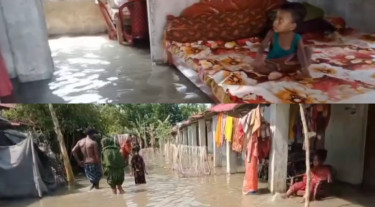 মেঘনার জোয়ারে প্লাবিত মনপুরার নিম্নাঞ্চল, পানিবন্দি শতাধিক পরিবার