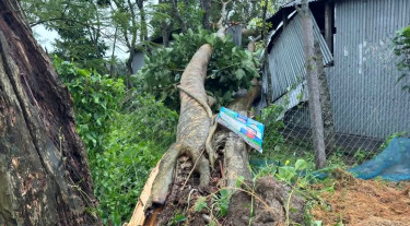 বজ্রসহ ভারী বৃষ্টিতে জামালপুরে দুর্ভোগ