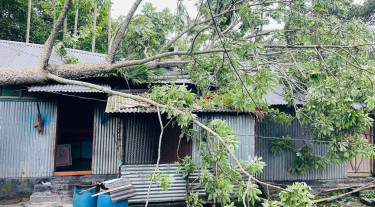 কালবৈশাখীর তাণ্ডবে ২৯ ঘণ্টা বিদ্যুৎহীন মাদারগঞ্জ-ইসলামপুর