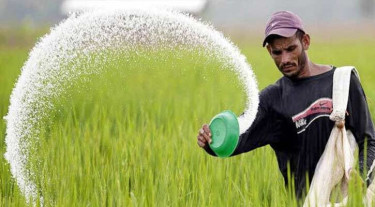 কৃষিখাতে সরবরাহ নিশ্চিতে ৬৮৯ কোটি টাকার সার কিনছে সরকার