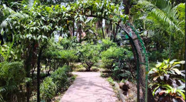 বলধা গার্ডেন যেন ঢাকার বুকে একখণ্ড সবুজস্বর্গ