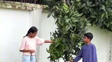 গরু কিনতে হাটে আহরাম, ঢাকাতেই ঈদ তামিমদের