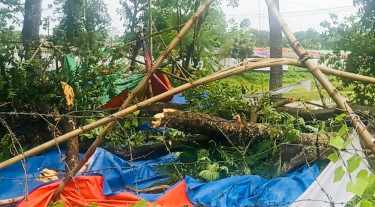 ফরিদপুরে গাছচাপায় শ্রমিক নেতার মৃত্যু