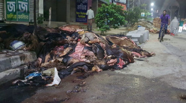 ‘অর্থকরী’ চামড়ার অর্থহীন পরিণতি