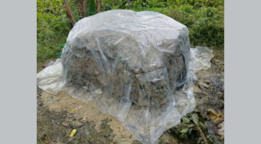 পটুয়াখালীতে ৪৪ হাজার পশুর চামড়া সংগ্রহ