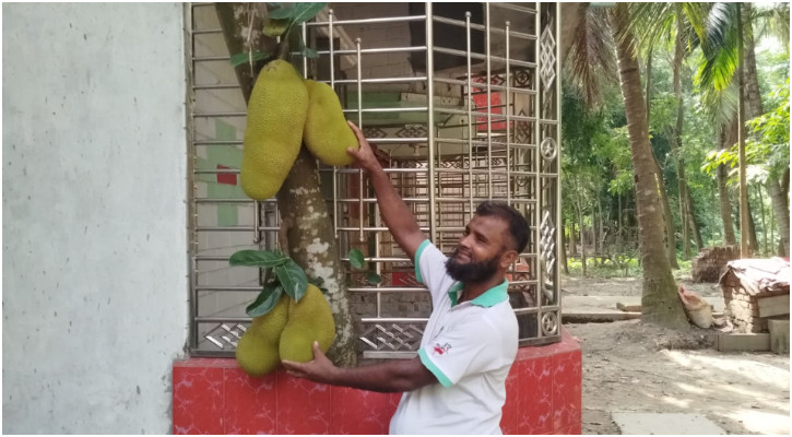 বসতঘরের ভেতর গাছে ঝুলছে কাঁঠাল!