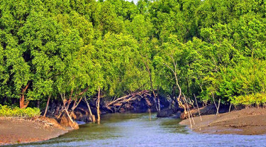 জীববৈচিত্র্য রক্ষায় তিন মাসের জন্য সুন্দরবনে প্রবেশে নিষেধাজ্ঞা