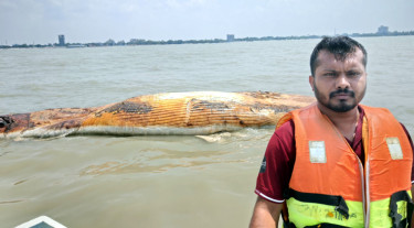 বঙ্গোপসাগরে ভাসছে বিশাল মৃত তিমি, কুয়াকাটায় চাঞ্চল্য