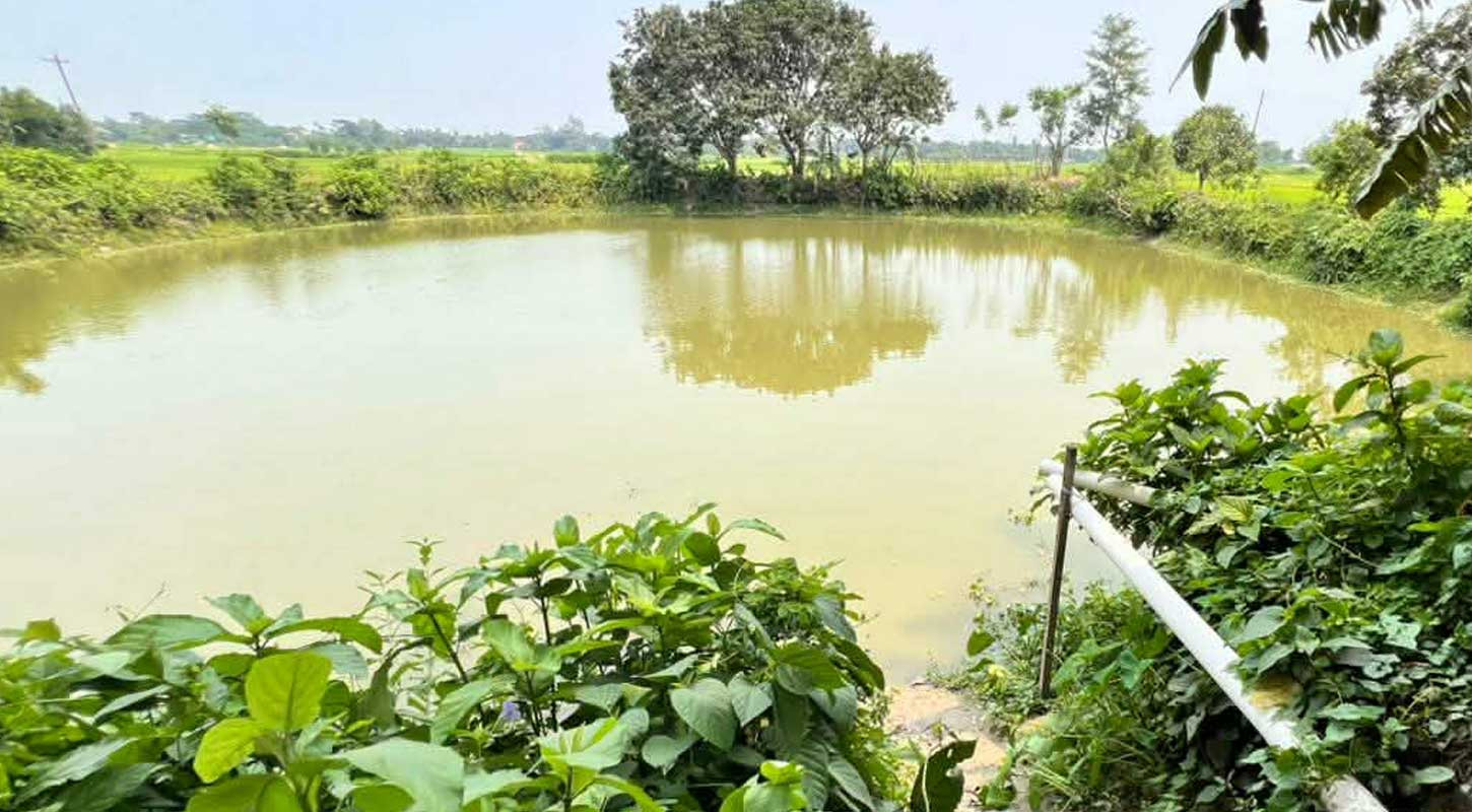 নারায়ণগঞ্জে পানিতে ডুবে ২ ভাইয়ের মৃত্যু