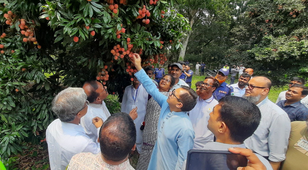 পাবনায় লিচু উৎসবে হিমাগার ও উন্নত প্রযুক্তির আশ্বাস বাণিজ্যমন্ত্রীর