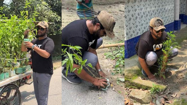 বাবার কবরের ফুলগাছ চুরি, ১৫০০ গাছ লাগালেন যুবক
