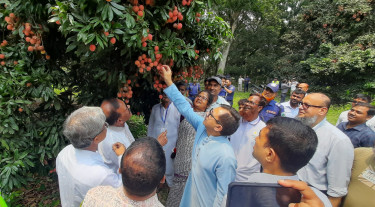 পাবনায় লিচু উৎসবে হিমাগার ও উন্নত প্রযুক্তির আশ্বাস বাণিজ্যমন্ত্রীর