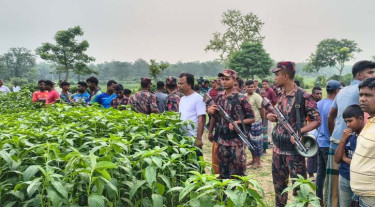 মেহেরপুর সীমান্তে ছয়জনকে ফিরিয়ে নিয়েছে বিএসএফ