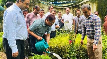 সবুজ চট্টগ্রাম গড়তে চসিক লাগাচ্ছে ১০ লাখ গাছ