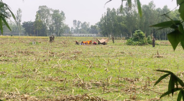 ঠাকুরগাঁও সীমান্তে পুশইনের চেষ্টা বিএসএফের, শূন্যরেখায় আটকে আছে ১১ জন