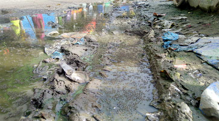 চকবাজার-বাকলিয়ায় মশার দাপট