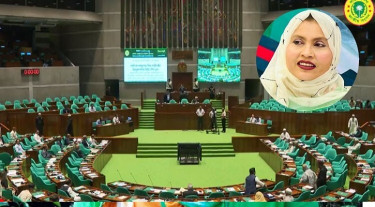 ভুয়া আইডি-বট নিয়ন্ত্রণে ব্যবস্থা চান হেলেন জেরিন