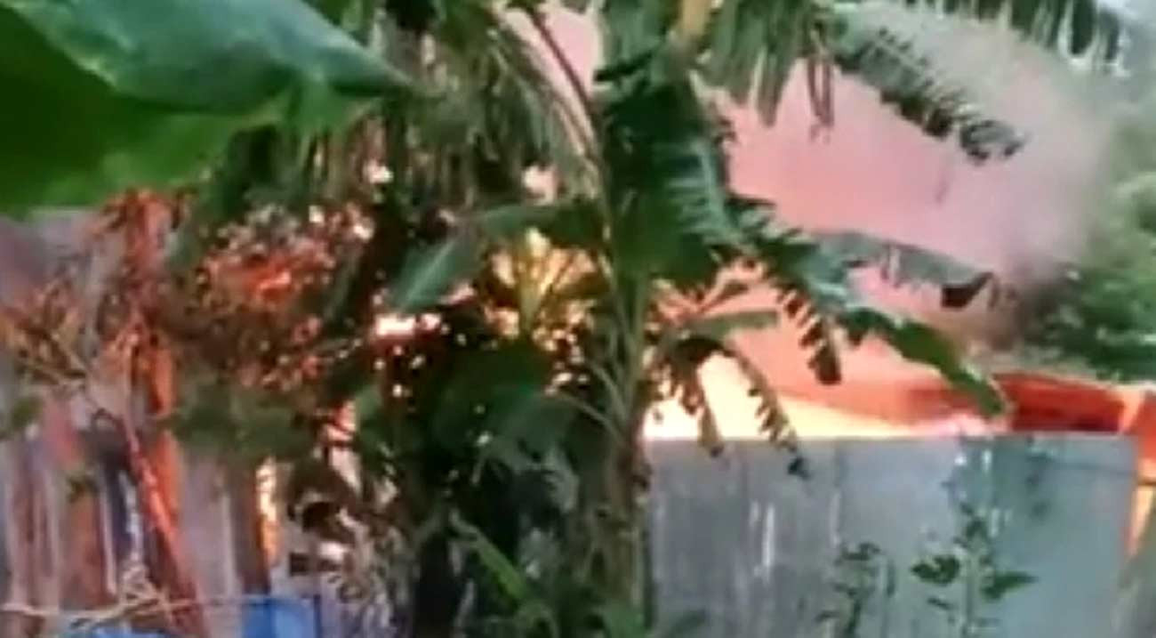 পাবনায় স্কুলছাত্রী রিয়া হত্যা: আসামির বাড়িতে আগুন, দগ্ধ হয়ে ৩ জনের মৃত্যু