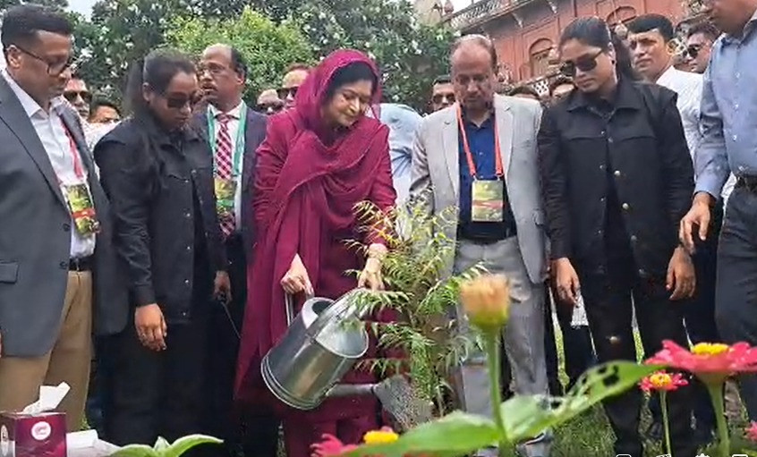 ঢাবিতে বৃক্ষরোপণ কর্মসূচির উদ্বোধন করলেন জুবাইদা রহমান
