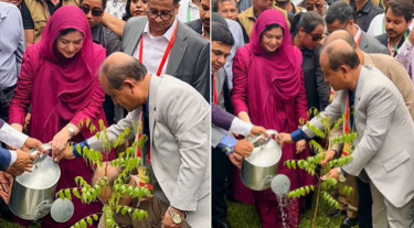 ঢাবিতে বৃক্ষরোপণ কর্মসূচির উদ্বোধন করলেন জুবাইদা রহমান