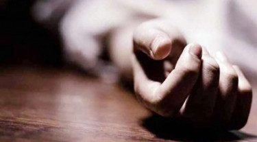 ফুলগাজীতে গাছ থেকে পড়ে যুবকের মৃত্যু