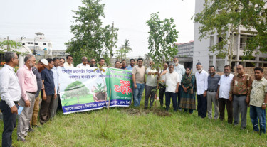 খুবিতে জিয়াউর রহমান ফাউন্ডেশনের উদ্যোগে বৃক্ষরোপণ কর্মসূচি পালিত