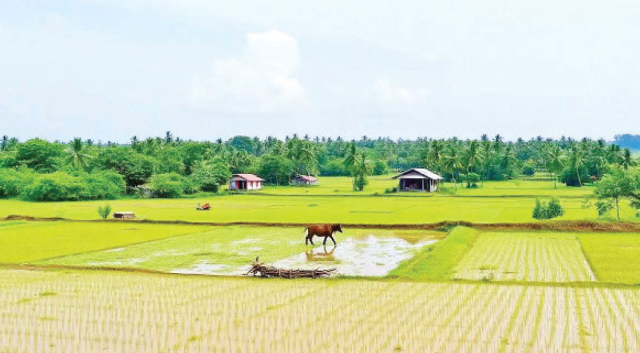ইসলামের দৃষ্টিতে প্রচলিত জমি বন্ধক (কট) ব্যবস্থা