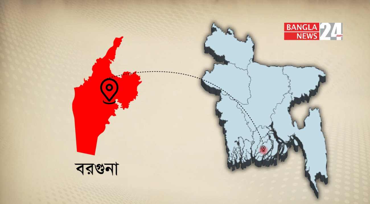 বরগুনায় পুকুরে ছিঁড়ে পড়া তারে বিদ্যুৎস্পৃষ্ট হয়ে মা-ছেলের মৃত্যু