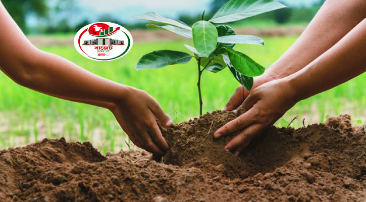পাঁচ বছরে ২৫ কোটি বৃক্ষরোপণের কর্মসূচি বাস্তবায়ন করা হবে: অর্থমন্ত্রী