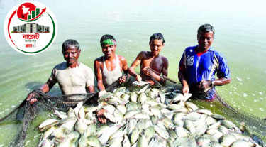 বাজেটে প্রথমবারের মতো মৎস্য বিমা স্কিম চালুর উদ্যোগ