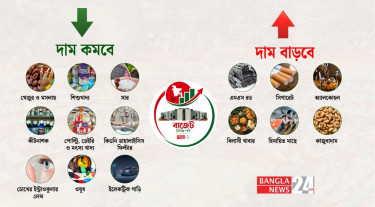 কোন পণ্যের দাম বাড়বে, কোন পণ্যের দাম কমবে