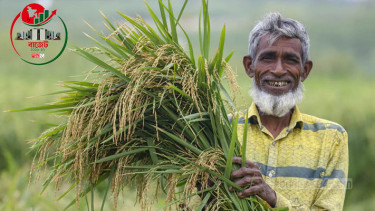 কৃষক কার্ডে বছরে ২৫০০ টাকা, বাজেটে বরাদ্দ ১০৬২ কোটি