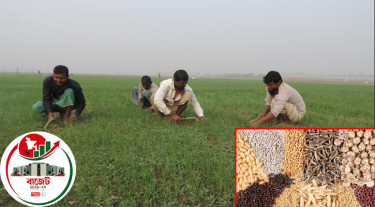 কৃষির উন্নয়নে বিনামূল্যে উপকরণ সহায়তা, হচ্ছে কৃষক ডাটাবেজ