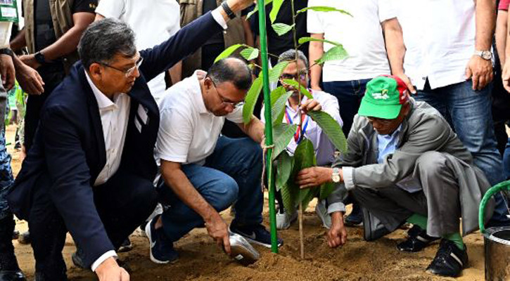 সন্তানের ভবিষ্যতের কথা ভেবে একটি করে গাছ লাগান: প্রধানমন্ত্রী