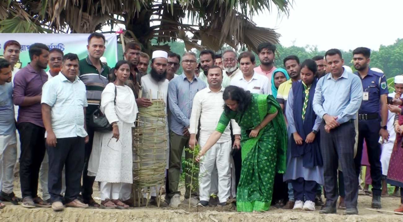 নাটোরে ২৫ কোটি বৃক্ষরোপণের কর্মসূচি শুরু, একদিনে রোপণ ৫ হাজার চারা