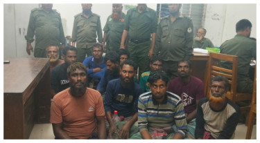 সুন্দরবনে মধু আহরণ, ১ হাজার কেজি মধুসহ ১১ মৌয়াল আটক