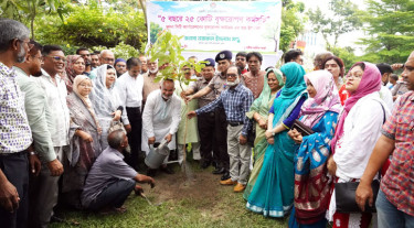 কেসিসি প্রশাসকের বৃক্ষরোপণ কর্মসূচির উদ্বোধন