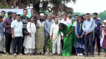 নাটোরে ২৫ কোটি বৃক্ষরোপণের কর্মসূচি শুরু, একদিনে রোপণ ৫ হাজার চারা