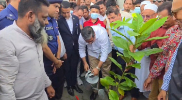 মহাসড়কের পাশের ময়লা অপসারণ করে গাছ লাগালেন স্থানীয় সরকার প্রতিমন্ত্রী
