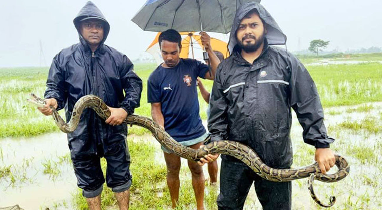 মৎস্যজীবীদের জালে ধরা পড়ল অজগর