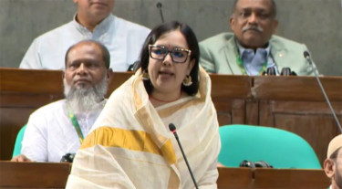 সামষ্টিক চাপে বাজেট বাস্তবায়ন নিয়ে রুমিন ফারহানার প্রশ্ন