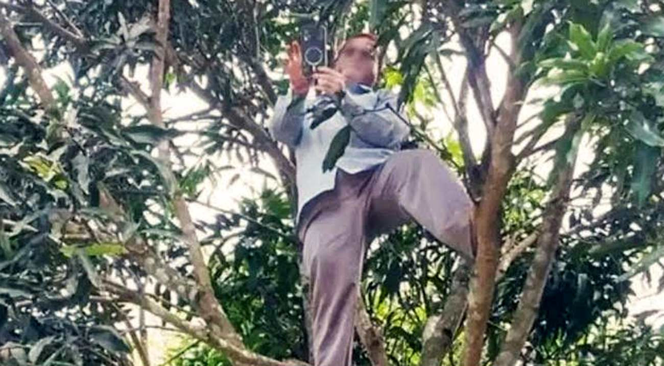দুর্গম বাঘাইছড়িতে নেটওয়ার্ক নেই, গাছে উঠে হাজিরা দিলেন শিক্ষক
