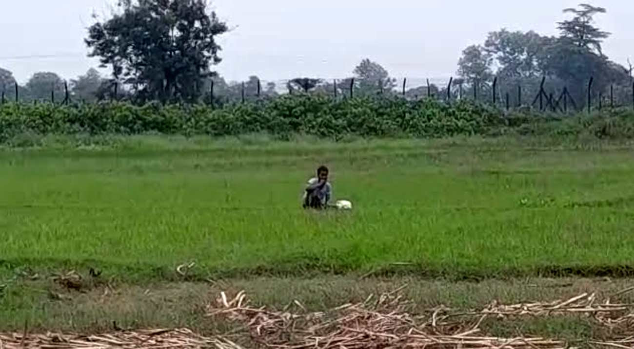 দেওয়ানগঞ্জ সীমান্তে পুশ-ইনচেষ্টা, বিজিবির বাধায় ব্যর্থ বিএসএফ