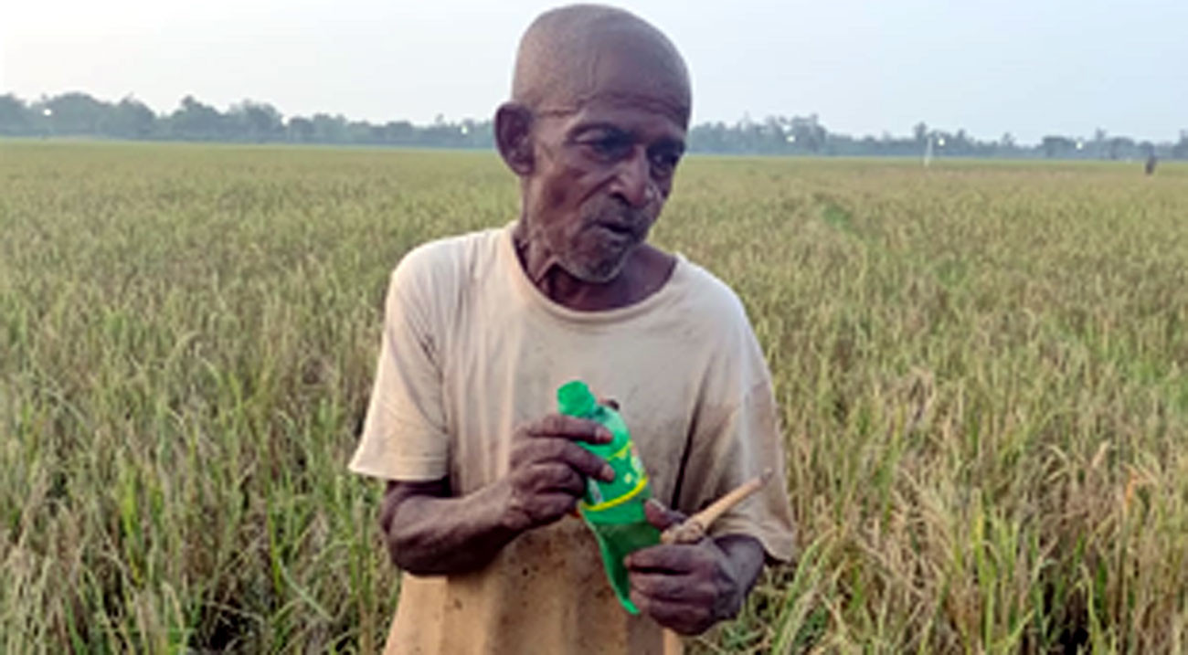 নওগাঁ সীমান্তে সন্দেহভাজন ব্যক্তিকে ধরে বিজিবির কাছে দিল গ্রামবাসী